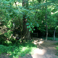 Glenn Creek Nature Preserve
