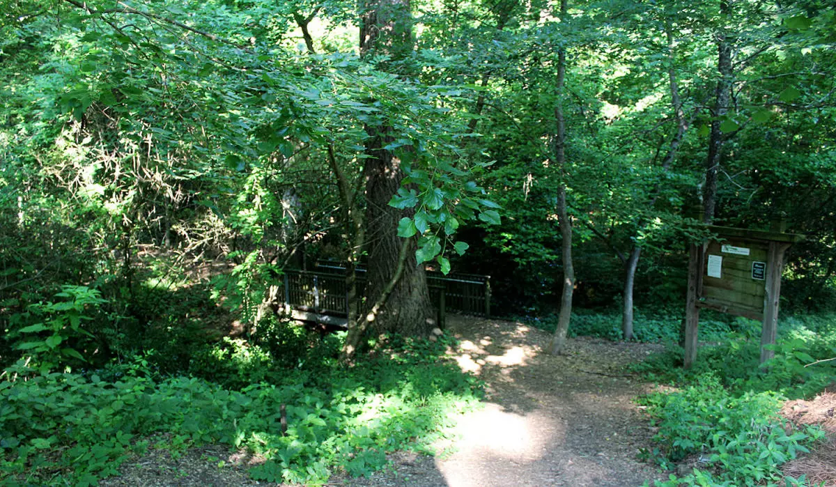 Glenn Creek Nature Preserve