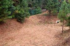  Earthen Embankment Pond