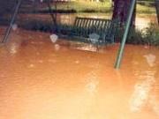 Flooding Bench
