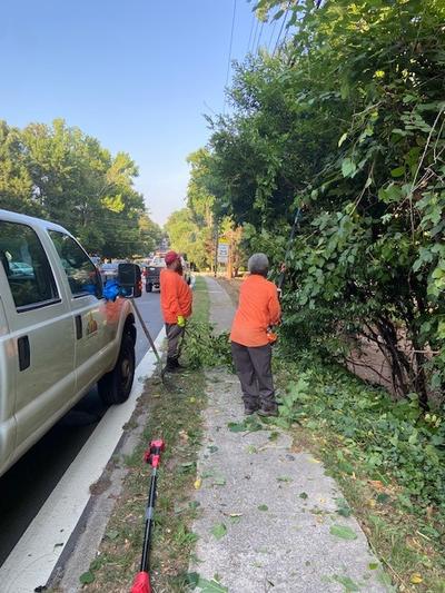 Community Clean Up